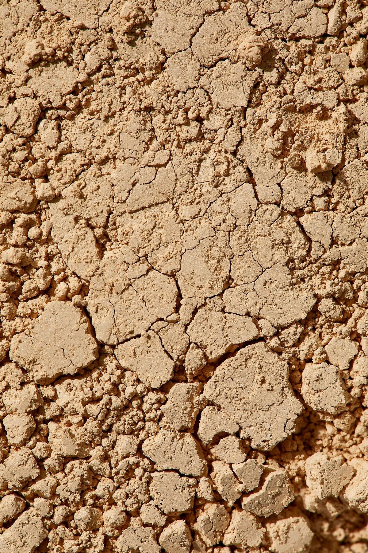 Hair Strengthening Oil – 120ml