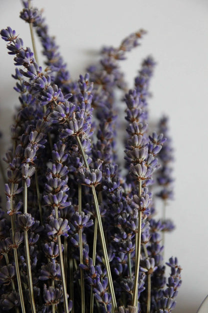 Lavender Whipped Shea Butter – 250ml / 75ml Travel